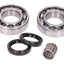 crankshaft bearing set w/ shaft seals for Rotax 122, 123 OEM STANDARD MOTOVEIKALS 21