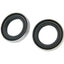crankshaft oil seal kit Polini 15x22x5mm for MBK (Motobecane) 51 POLINI MOTOVEIKALS 21
