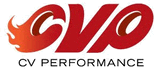 CV PERFORMANCE