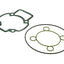 cylinder gasket set Malossi 40-47-47.6mm for Piaggio LC MALOSSI MOTOVEIKALS 21