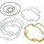 cylinder gasket set Malossi MHR for Piaggio LC MALOSSI MOTOVEIKALS 21