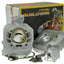 cylinder kit Malossi MHR Replica 50cc for Peugeot horizontal AC carburetor MALOSSI MOTOVEIKALS 21