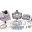 cylinder kit Malossi MHR Team Modular 79cc for Derbi EBE, EBS MALOSSI MOTOVEIKALS 21