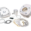 cylinder kit Polini aluminum racing Evolution 50cc 10mm piston pin for Minarelli horizontal AC POLINI MOTOVEIKALS 21