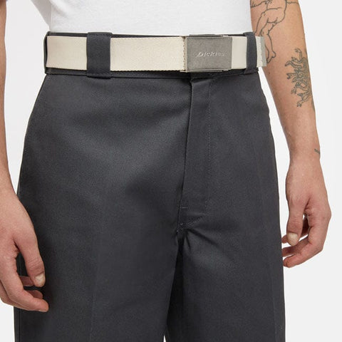 Dickies Brookston belt whitecap gray DICKIES MOTOVEIKALS 21