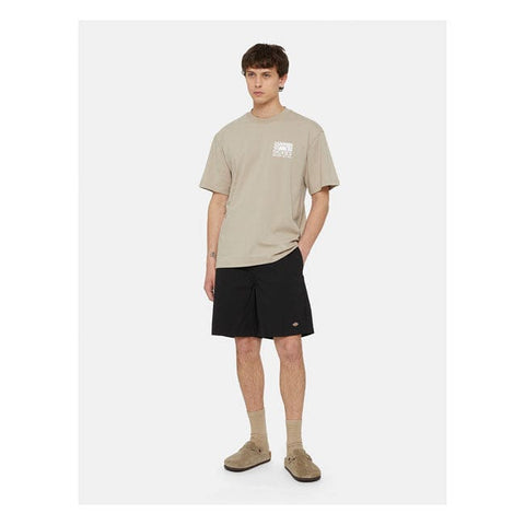 Dickies Fincastle short black DICKIES MOTOVEIKALS 21