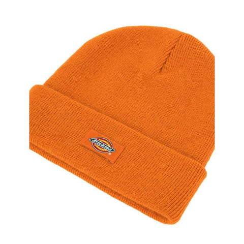 Dickies Gibsland beanie autumn maple DICKIES MOTOVEIKALS 21