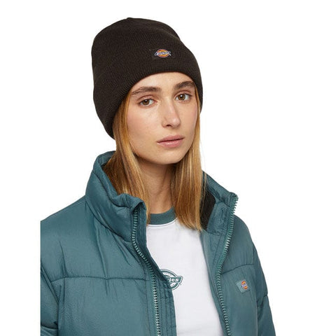 Dickies Gibsland beanie dark brown DICKIES MOTOVEIKALS 21