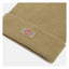 Dickies Gibsland beanie imperial green DICKIES MOTOVEIKALS 21