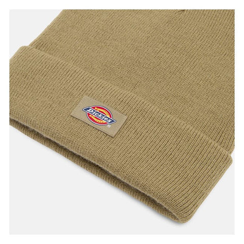 Dickies Gibsland beanie imperial green DICKIES MOTOVEIKALS 21