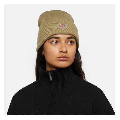 Dickies Gibsland beanie imperial green DICKIES MOTOVEIKALS 21