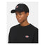 Dickies Hanston trucker cap black DICKIES MOTOVEIKALS 21