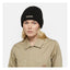 Dickies Harlowtown beanie DICKIES MOTOVEIKALS 21