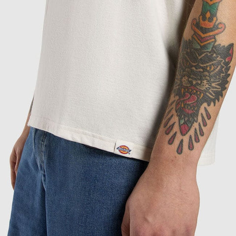 Dickies Lewistown Embro t-shirt egret DICKIES MOTOVEIKALS 21