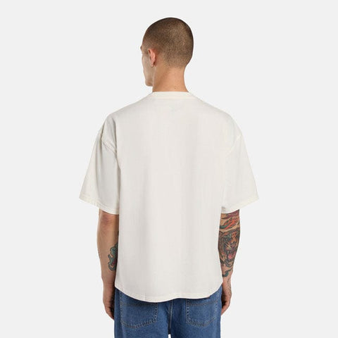 Dickies Lewistown Embro t-shirt egret DICKIES MOTOVEIKALS 21