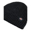 Dickies Lockwood beanie black DICKIES MOTOVEIKALS 21