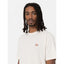 Dickies Mapleton t-shirt whitecap gray DICKIES MOTOVEIKALS 21