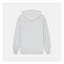 Dickies Plentywood hoodie ultimate gray DICKIES MOTOVEIKALS 21
