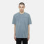Dickies Plentywood t-shirt stormy weather DICKIES MOTOVEIKALS 21