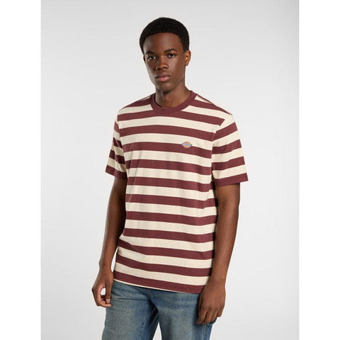 Dickies Rivergrove t-shirt andorra DICKIES MOTOVEIKALS 21