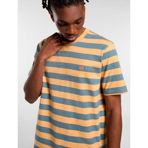 Dickies Rivergrove t-shirt oak buff DICKIES MOTOVEIKALS 21