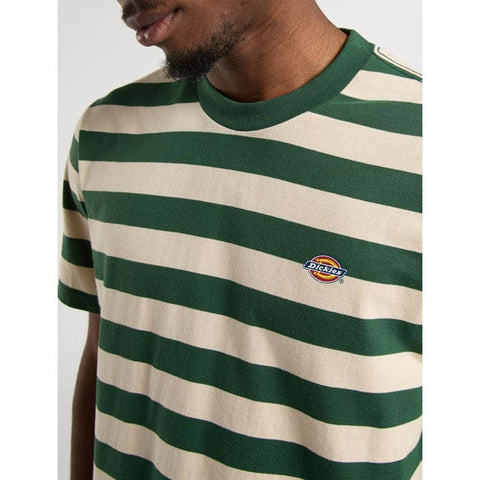 Dickies Rivergrove t-shirt pine needle green DICKIES MOTOVEIKALS 21