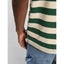 Dickies Rivergrove t-shirt pine needle green DICKIES MOTOVEIKALS 21