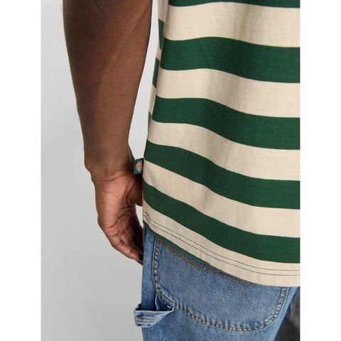 Dickies Rivergrove t-shirt pine needle green DICKIES MOTOVEIKALS 21