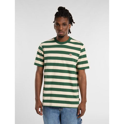 Dickies Rivergrove t-shirt pine needle green DICKIES MOTOVEIKALS 21