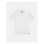 Dickies T-shirt pack dark white DICKIES MOTOVEIKALS 21