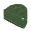 Dickies Woodworth beanie pine needle green DICKIES MOTOVEIKALS 21