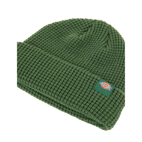 Dickies Woodworth beanie pine needle green DICKIES MOTOVEIKALS 21