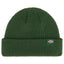 Dickies Woodworth beanie pine needle green DICKIES MOTOVEIKALS 21