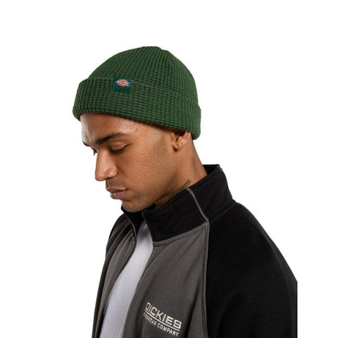 Dickies Woodworth beanie pine needle green DICKIES MOTOVEIKALS 21