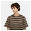 Dikckies Stevensville t-shirt mushroom DICKIES MOTOVEIKALS 21