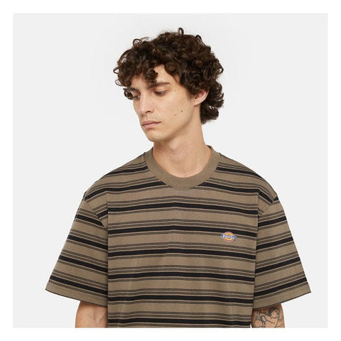 Dikckies Stevensville t-shirt mushroom DICKIES MOTOVEIKALS 21