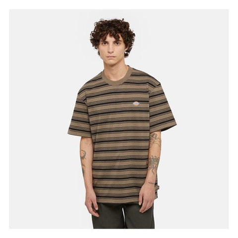 Dikckies Stevensville t-shirt mushroom DICKIES MOTOVEIKALS 21