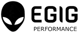EGIG PERFORMANCE