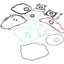 engine gasket set OEM w/ oil seal rings for Aprilia, Benelli, Derbi, Peugeot, Piaggio, Vespa 125-200 PIAGGIO MOTOVEIKALS 21
