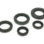 engine oil seal set for Morini AC (old version), Malaguti 100 2-stroke NARAKU MOTOVEIKALS 21