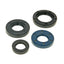 engine oil seal set for PGO new engine NARAKU MOTOVEIKALS 21