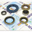 Engine Oil Seals Kit ATHENA ATHENA MOTOVEIKALS 21