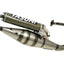 exhaust Yasuni Scooter Z yellow carbon fiber for Peugeot vertical YASUNI MOTOVEIKALS 21
