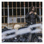 Holy Freedom Zero EVO jacket black HOLY FREEDOM MOTOVEIKALS 21