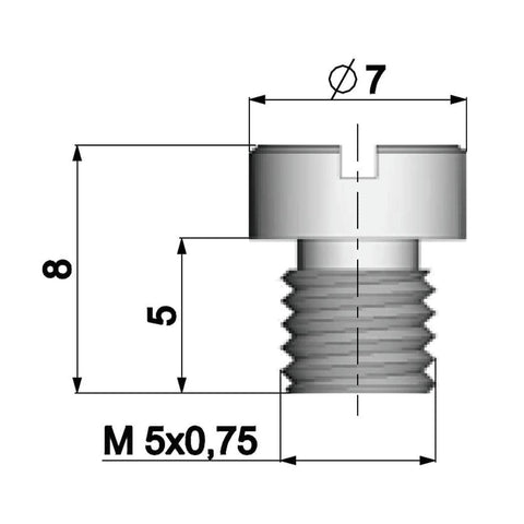 Karburatora dīžu komplekts Polini Dellorto M5 60-78 POLINI MOTOVEIKALS 21