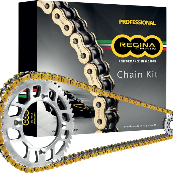 Ķēdes un zobratu komplekts KTM Adventure 790/890 REGINA MOTOVEIKALS 21
