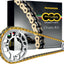 Kit Kaw Zx900R 98-02 REGINA REGINA MOTOVEIKALS 21