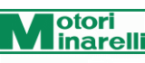MOTORI MINARELLI