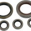 Oil Seal Set Mse Pol MOOSE RACING HARD-PARTS MOOSE RACING MOTOVEIKALS 21