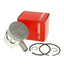 piston kit Airsal sport 65.3cc 46mm for Honda PK50 Wallaroo AIRSAL MOTOVEIKALS 21